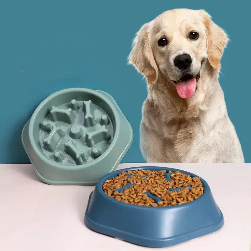 Slow Feeder Voerbak voor Honden & Katten | Lucky4Voeter