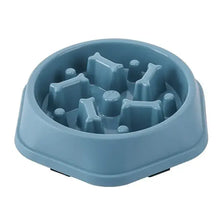 Slow Feeder Food Bowl