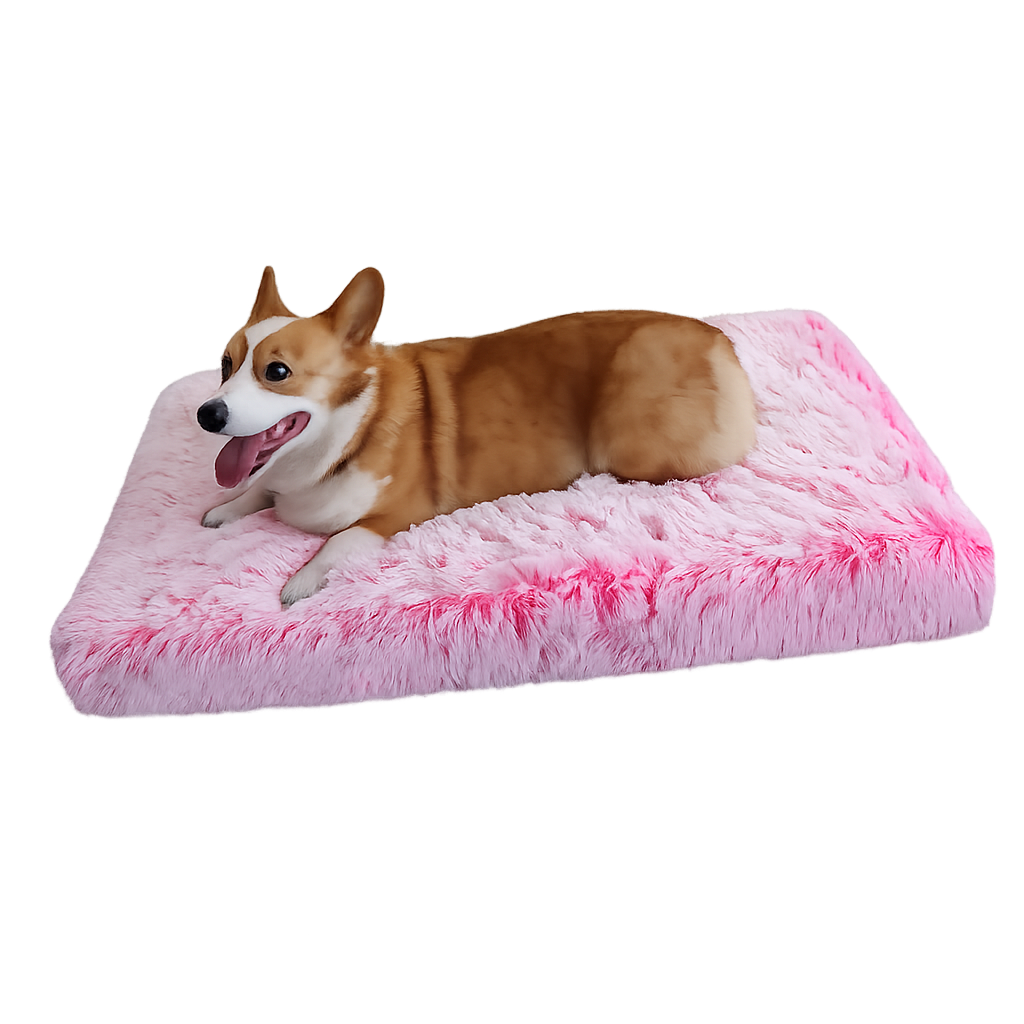 Washable dog bed