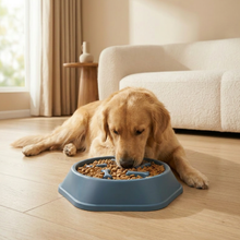 Slow Feeder Food Bowl