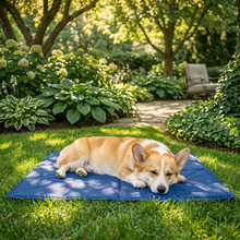 Cooling Pet Bed
