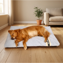 Luxury Cuddle Bed for Pets