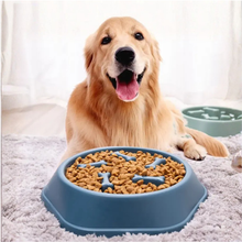 Slow Feeder Food Bowl