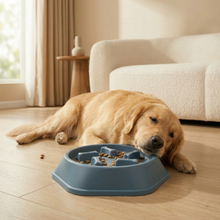 Slow Feeder Food Bowl