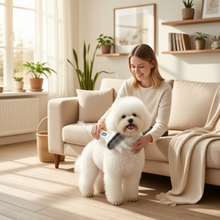 2-in-1 Pet Hair Dryer & Brush