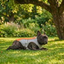 Cooling Vest for Dogs