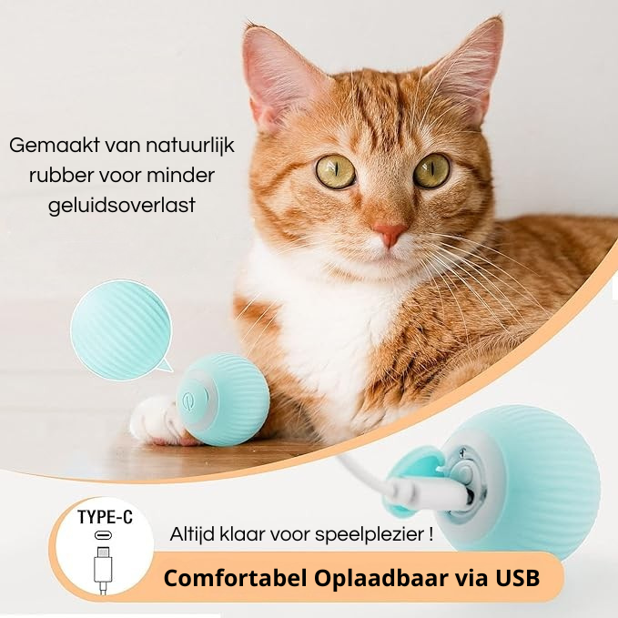 Electric Smart Pet Toy Ball