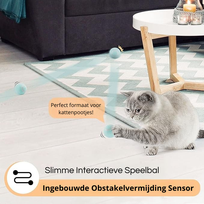 Elektrische Slimme Speelbal voor Huisdieren
