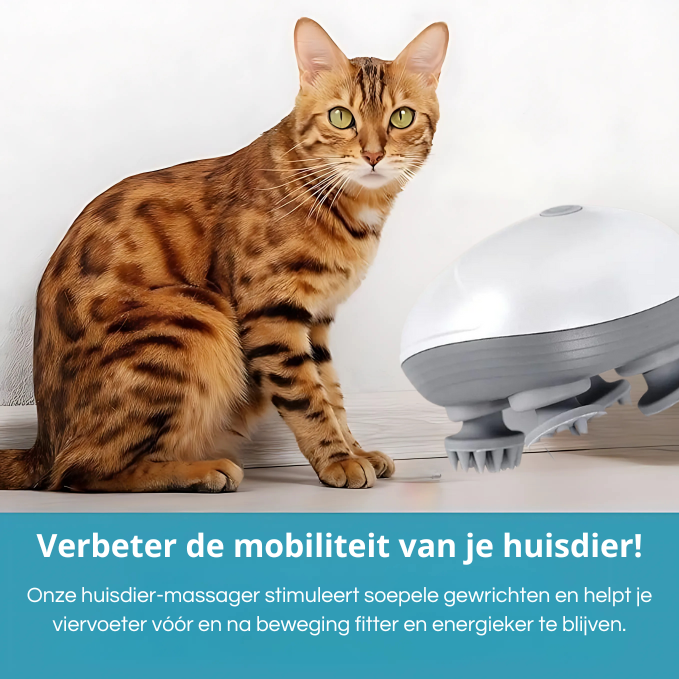 Elektrische Huisdier Massager