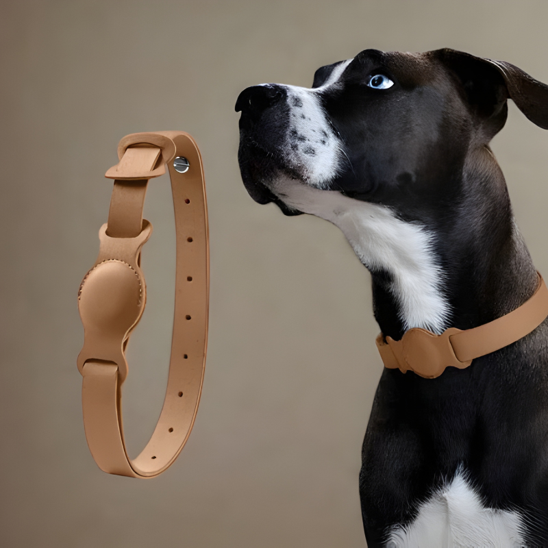 Luxe Leren Honden- en Kattenhalsband