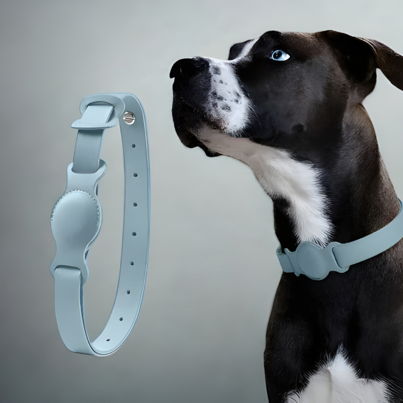 Luxe Leren Honden- en Kattenhalsband