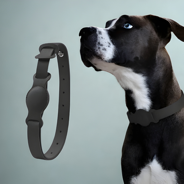 Luxe Leren Honden- en Kattenhalsband