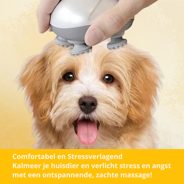 Elektrische Huisdier Massager