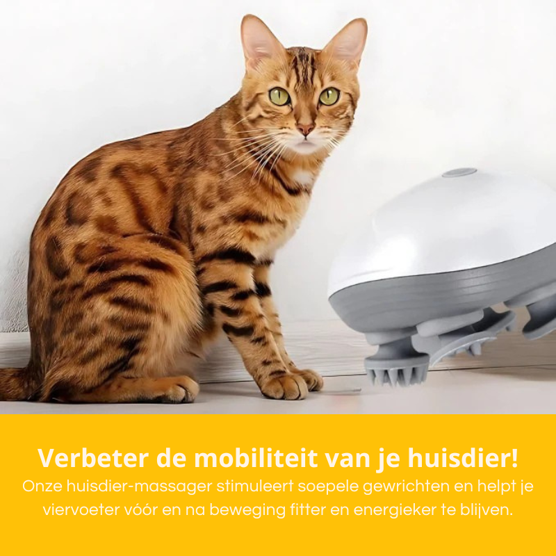 Electric Pet Massager