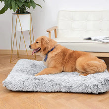 Washable dog bed