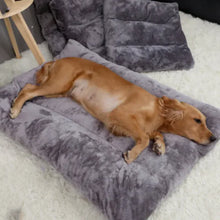 Luxury Cuddle Bed for Pets