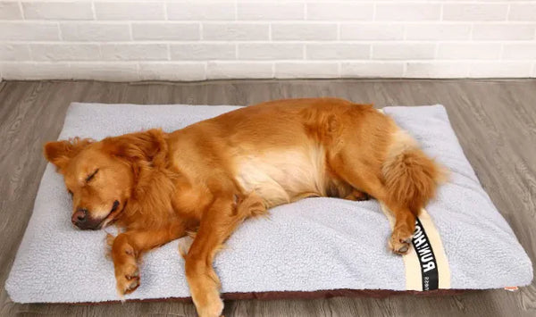 Luxe Knuffel-bed voor Huisdieren