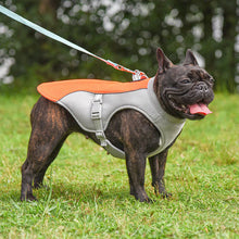 Cooling Vest for Dogs