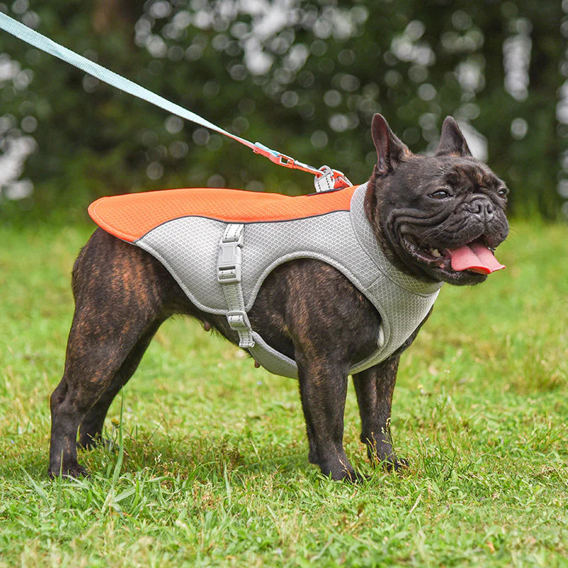CoolWalk Verkoelend Vest