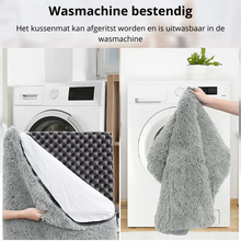 Washable dog bed