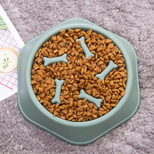 Slow Feeder Food Bowl