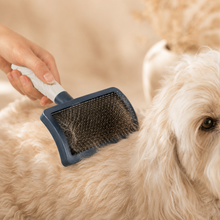 Close-up van slickerborstel tijdens zachte vachtverzorging bij een hond