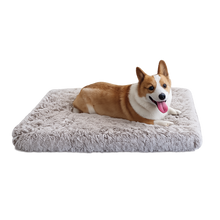 Washable dog bed