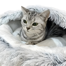 Luxury Plush Pet Bed