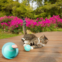 Electric Smart Pet Toy Ball