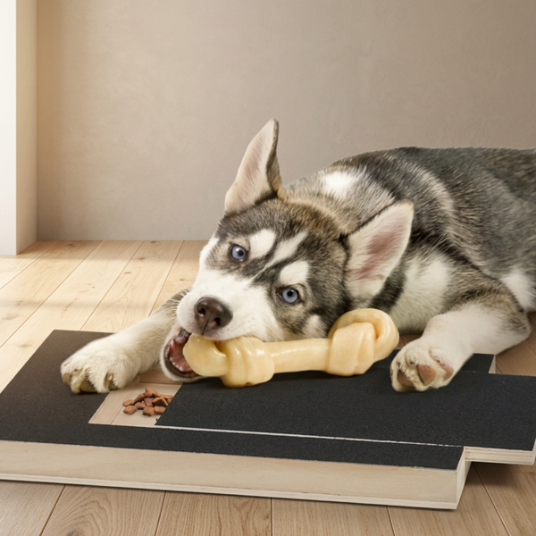 PawJoy interactieve houten krabplank voor honden