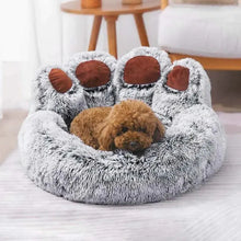 Pet House - Bear Paw