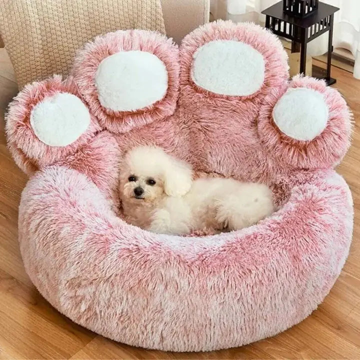 Pet House - Bear Paw